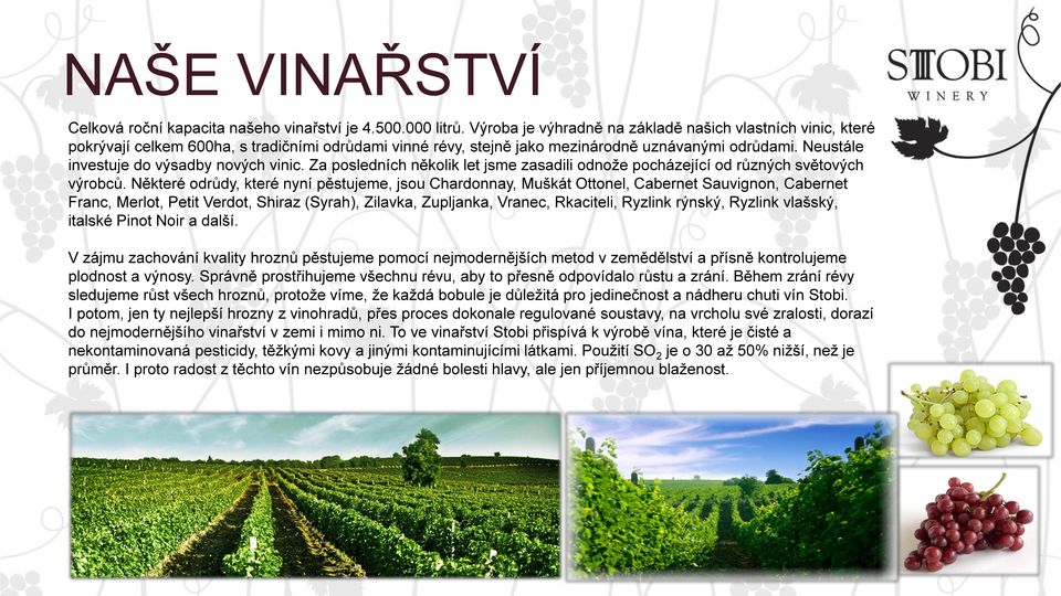Neustále investuje do výsadby nových vinic. Za posledních několik let jsme zasadili odnože pocházející od různých světových výrobců.