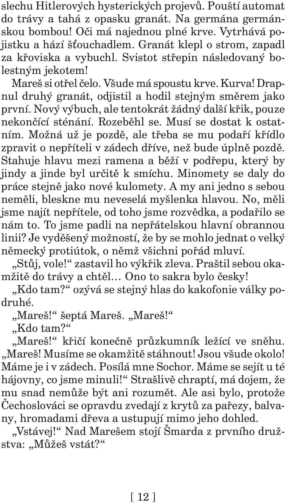 Drapnul druhý granát, odjistil a hodil stejným směrem jako první. Nový výbuch, ale tentokrát žádný další křik, pouze nekončící sténání. Rozeběhl se. Musí se dostat k ostatním.