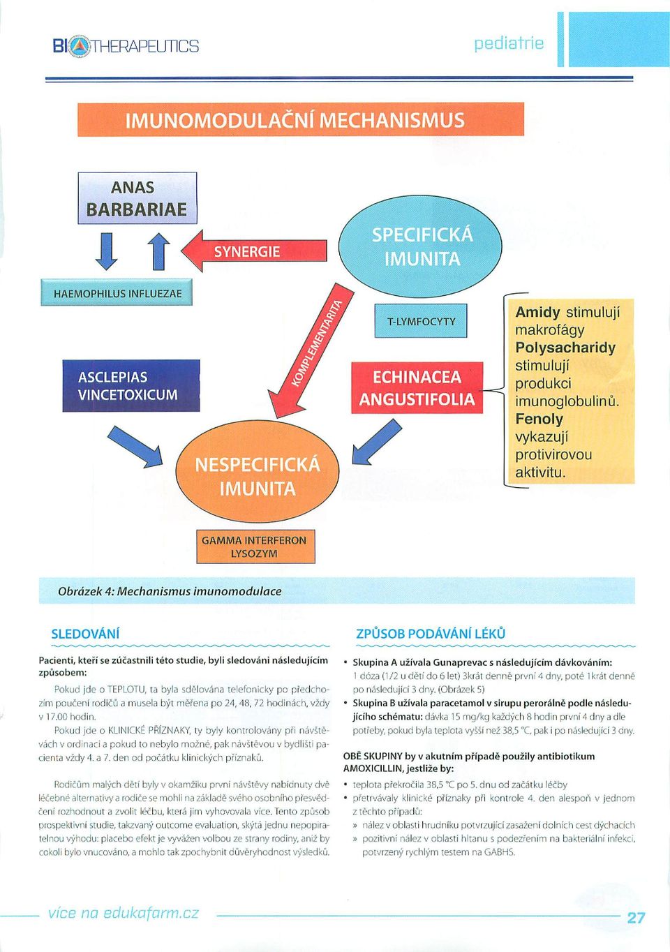 GAMMA INTERFERON LYSOZYM Obràzek 4: Mechanismus imunomodulace SLEDOVANI ZPUSOB PODAVANI LEKU Pacienti, ktefi se zùcastnili této studie, byli sledovàni nàsledujicim zpùsobem: Pokud jde o TEPLOTU, ta