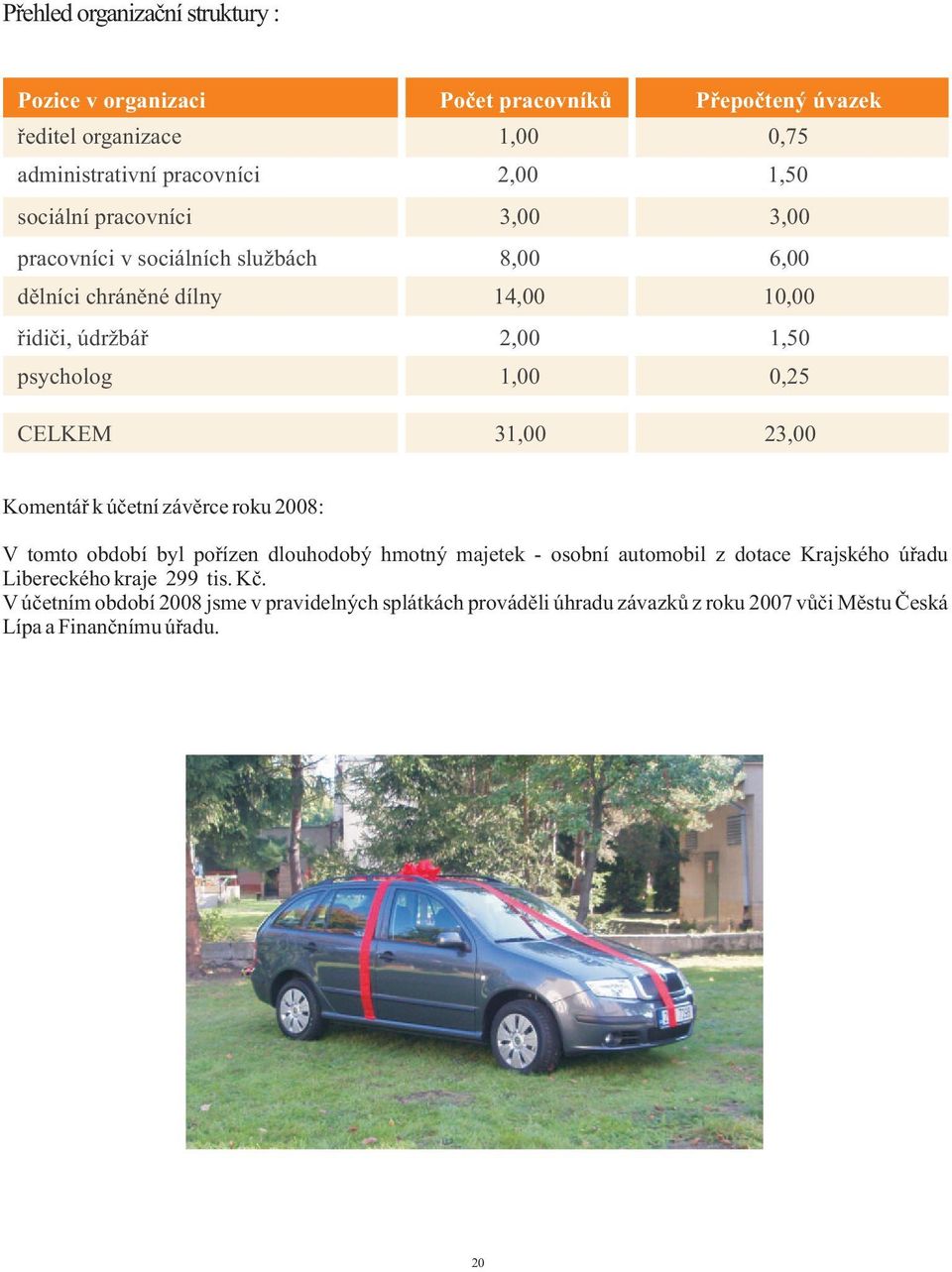 CELKEM 31,00 23,00 Komentáø k úèetní závìrce roku 2008: V tomto období byl poøízen dlouhodobý hmotný majetek - osobní automobil z dotace Krajského úøadu