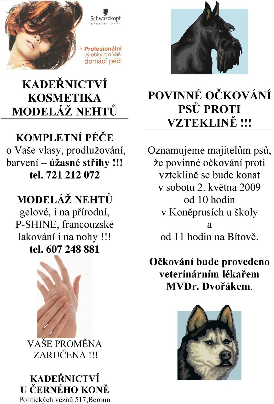 607 248 881 POVINNÉ OČKOVÁNÍ PSŮ PROTI VZTEKLINĚ!!! Oznamujeme majitelům psů, ţe povinné očkování proti vzteklině se bude konat v sobotu 2.