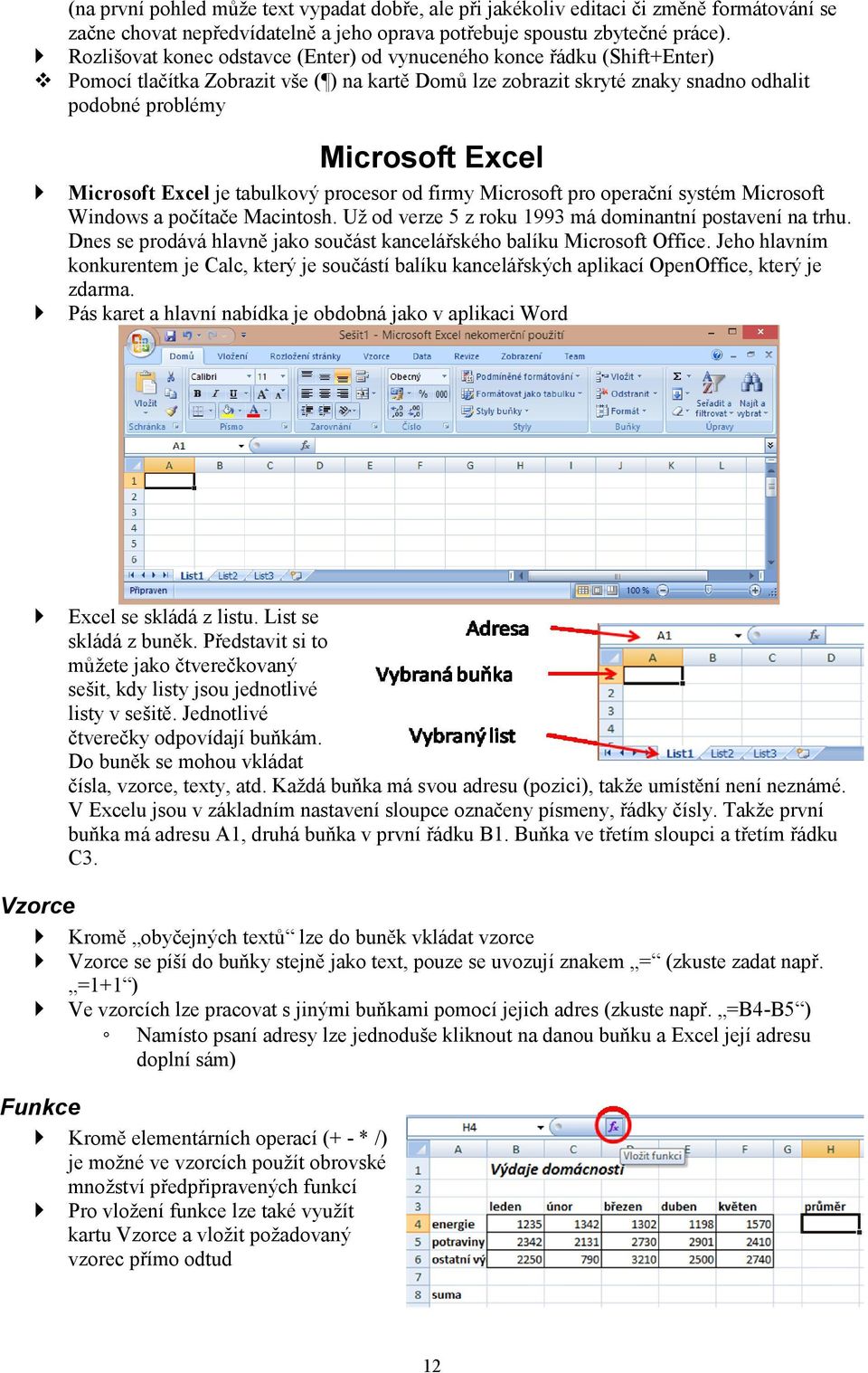 Microsoft Excel je tabulkový procesor od firmy Microsoft pro operační systém Microsoft Windows a počítače Macintosh. Už od verze 5 z roku 1993 má dominantní postavení na trhu.