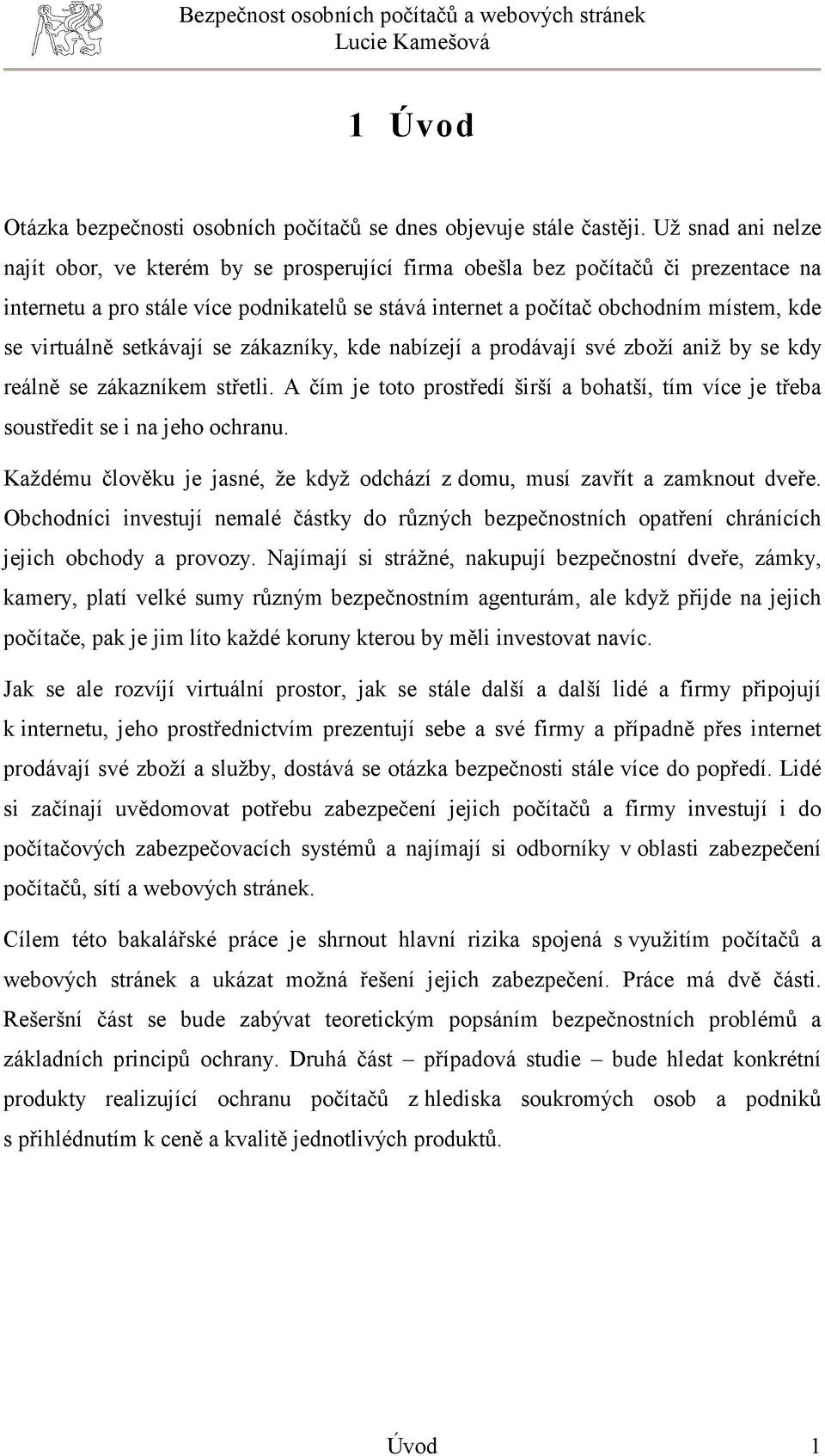 virtuálně setkávají se zákazníky, kde nabízejí a prodávají své zboží aniž by se kdy reálně se zákazníkem střetli.