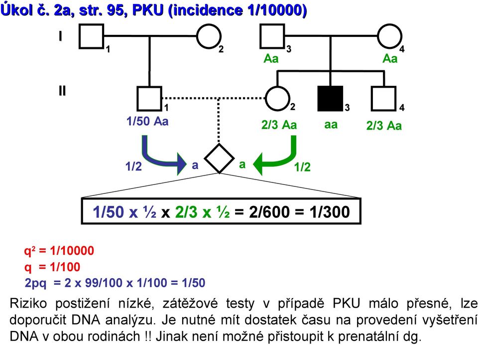 /300 q 2 = /0000 q = /00 2pq = 2 x 99/00 x /00 = /50 Riziko postižení nízké, zátěžové