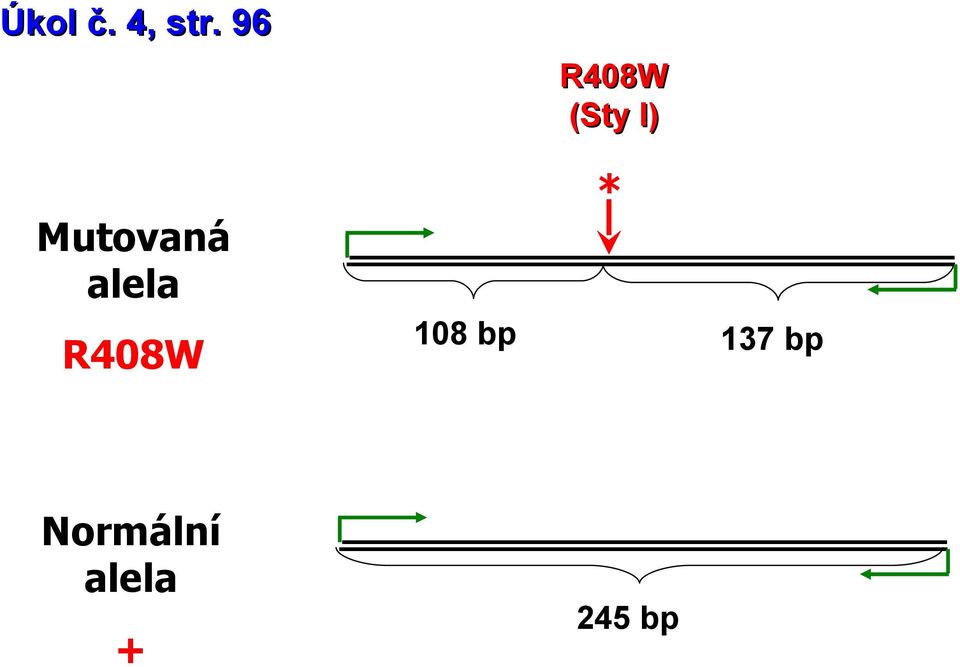 R408W (Sty ) * 08 bp