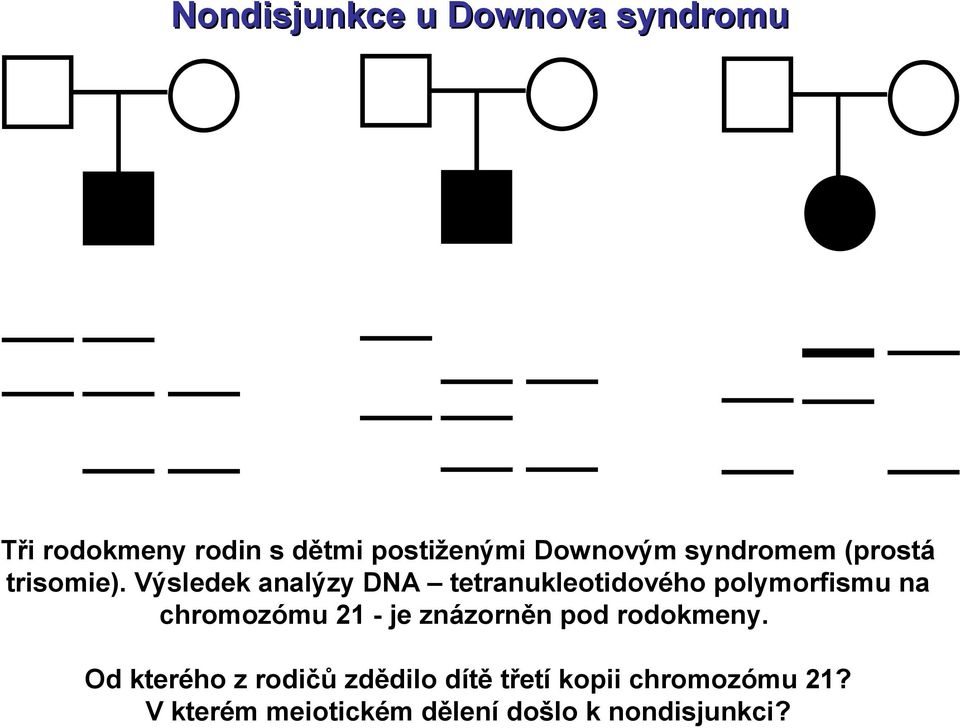 Výsledek nlýzy DN tetrnukleotidového polymorfismu n chromozómu 2 - je