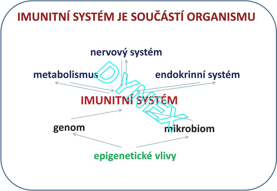 metabolismus endokrinní