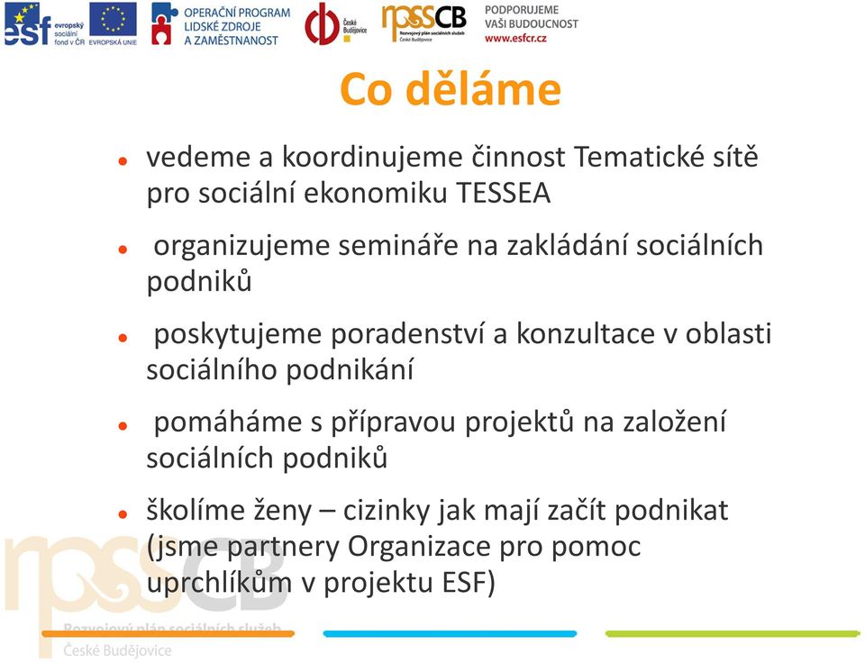 oblasti sociálního podnikání pomáháme s přípravou projektů na založení sociálních podniků