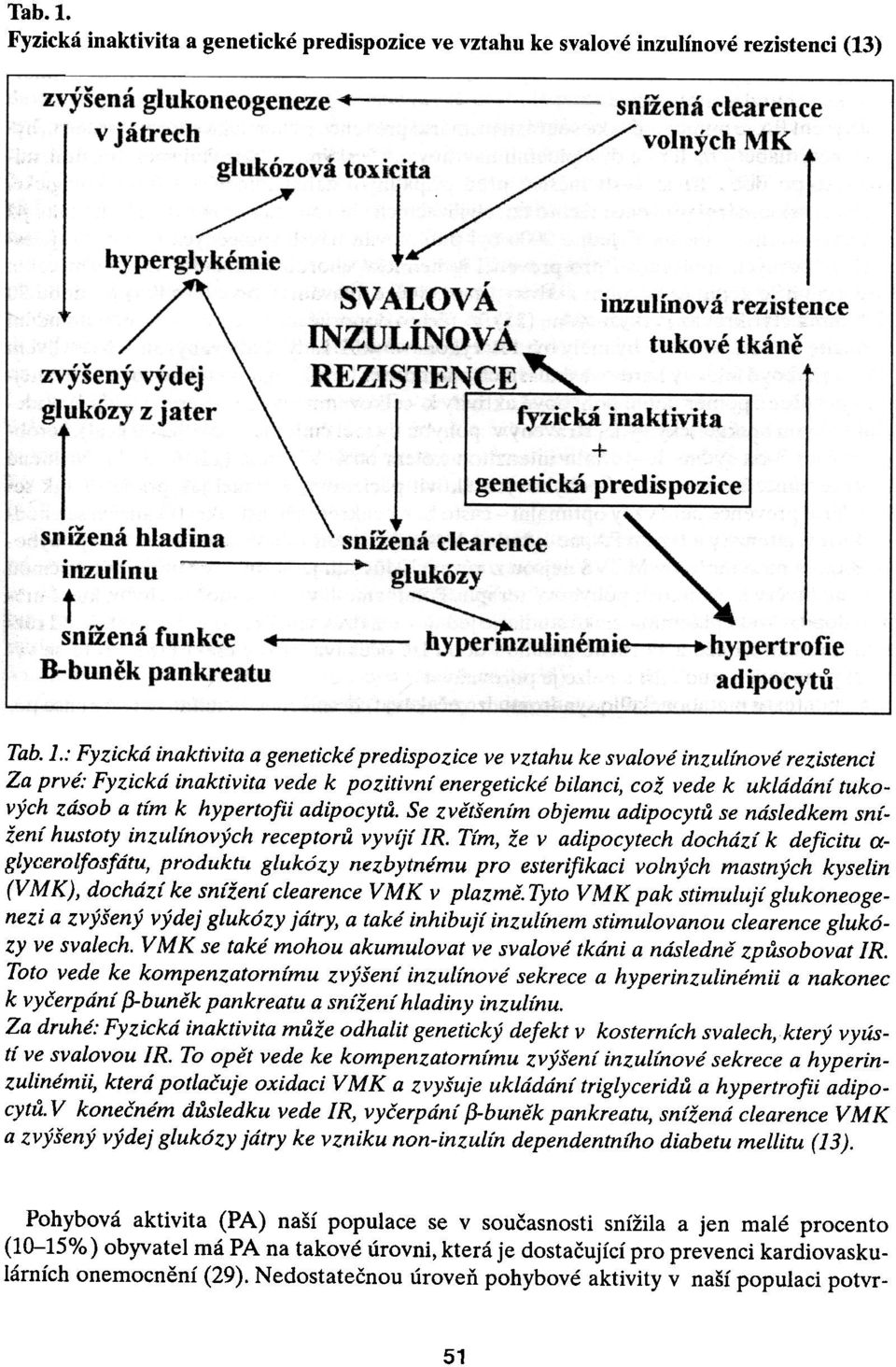 B-bunìk pankreatu INZULÍNOVÁ REZISTE~ snížená clearence glukózy -~ZUlinémie--.