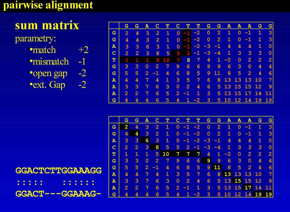 T T C T C 8 8 - - - pairwise alignment 9 9 - - 9 8 8 9 8-9 9 9