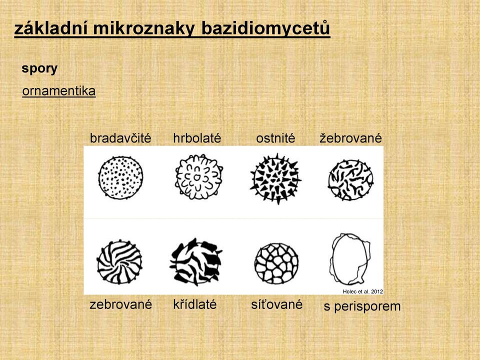 zebrované Holec et al.