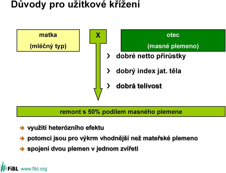 těla dobrá telivost remont s 50% podílem masného plemene využití