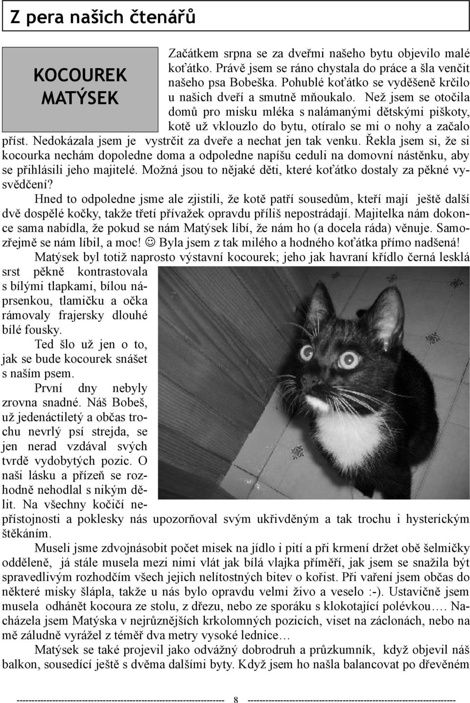 Než jsem se otočila domů pro misku mléka s nalámanými dětskými piškoty, kotě už vklouzlo do bytu, otíralo se mi o nohy a začalo příst. Nedokázala jsem je vystrčit za dveře a nechat jen tak venku.