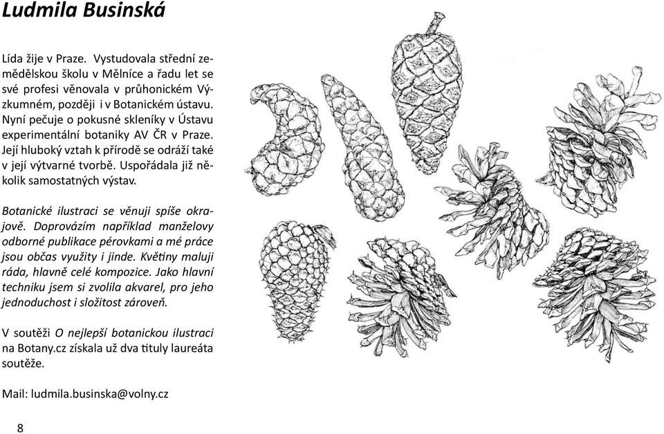 Botanické ilustraci se věnuji spíše okrajově. Doprovázím například manželovy odborné publikace pérovkami a mé práce jsou občas využity i jinde. Květiny maluji ráda, hlavně celé kompozice.