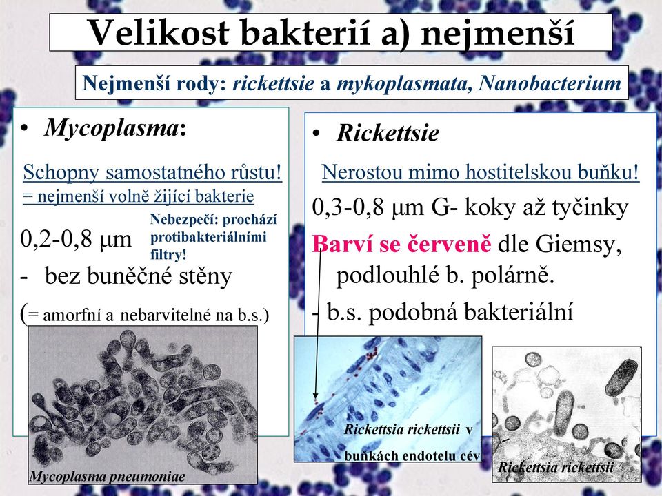 - bez buněčné stěny (= amorfní a nebarvitelné na b.s.) Rickettsie Nerostou mimo hostitelskou buňku!