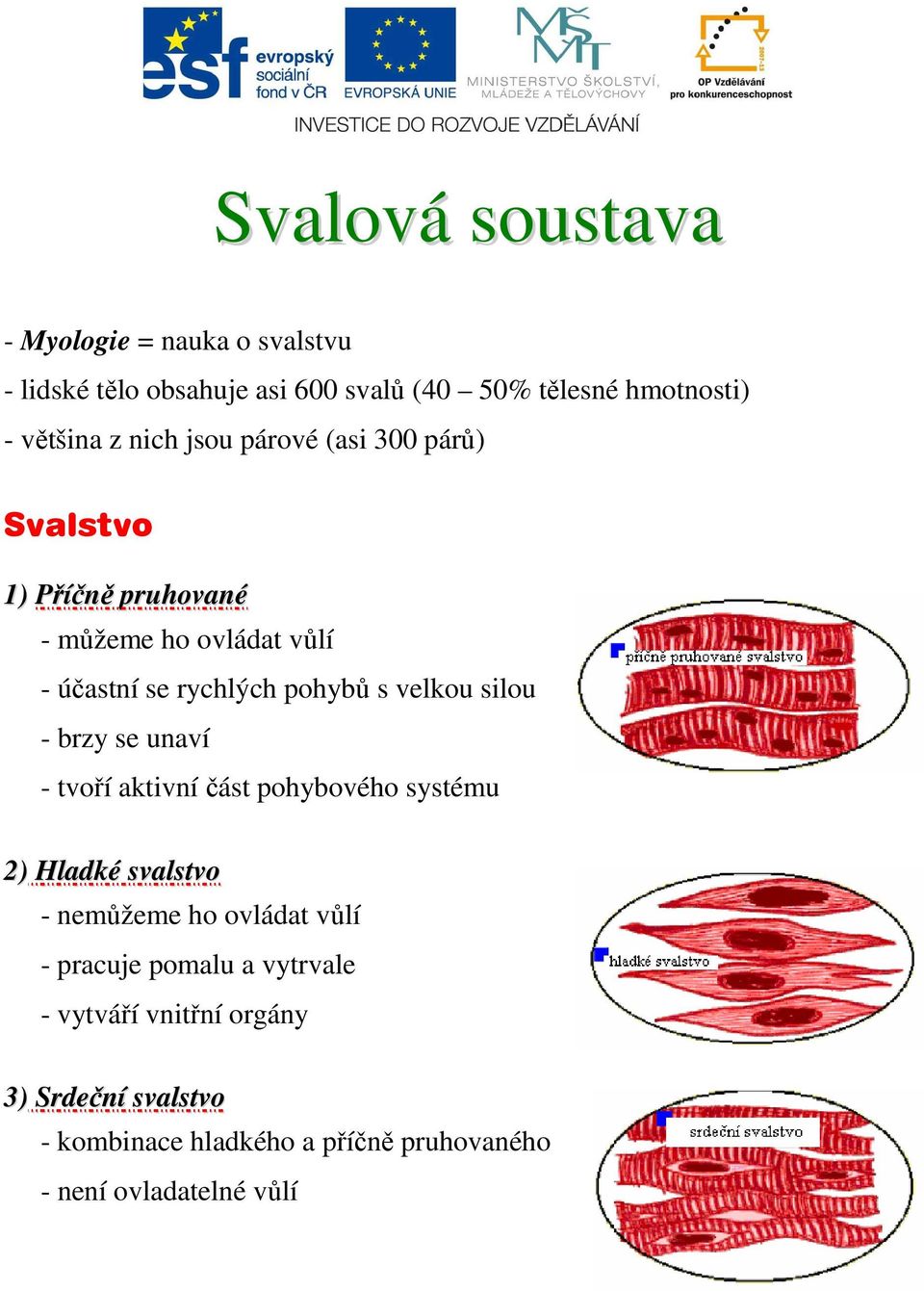 silou - brzy se unaví - tvoří aktivní část pohybového systému 2) Hladké svalstvo - nemůžeme ho ovládat vůlí - pracuje