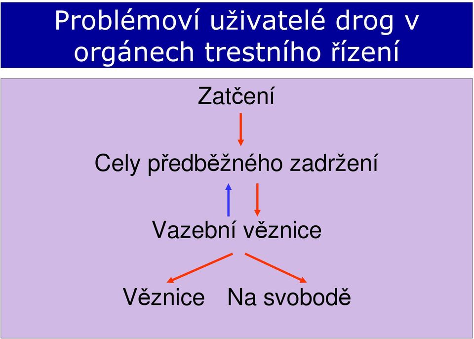 Zatčení Cely předběžného