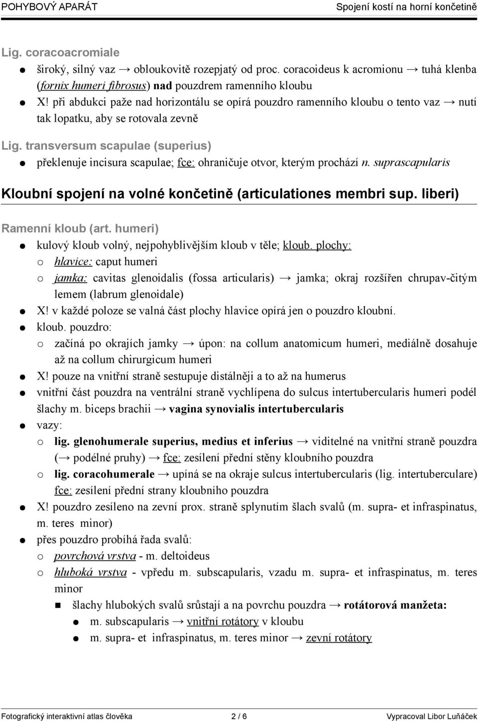 transversum scapulae (superius) překlenuje incisura scapulae; fce: ohraničuje otvor, kterým prochází n. suprascapularis Kloubní spojení na volné končetině (articulationes membri sup.