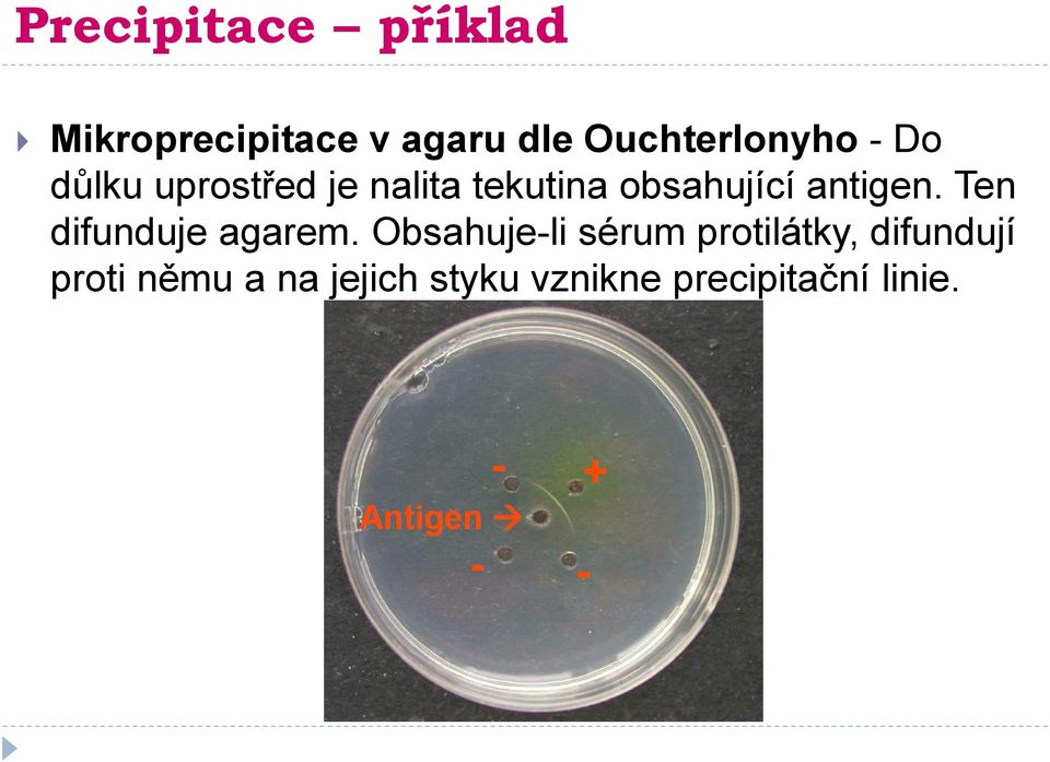 obsahující antigen. Ten difunduje agarem.