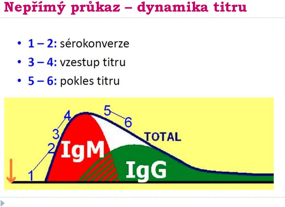 dynamika