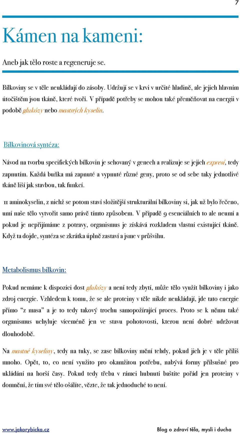 Bílkovinová syntéza: Návod na tvorbu specifických bílkovin je schovaný v genech a realizuje se jejich expresí, tedy zapnutím.