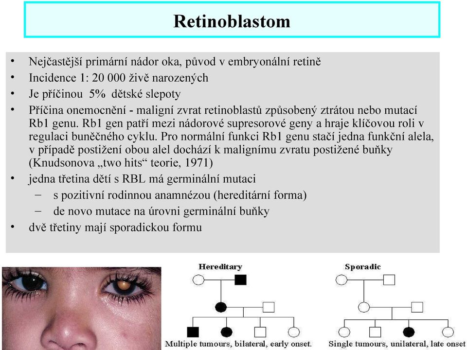 Pro normální funkci Rb1 genu stačí jedna funkční alela, v případě postižení obou alel dochází k malignímu zvratu postižené buňky (Knudsonova two hits teorie, 1971)
