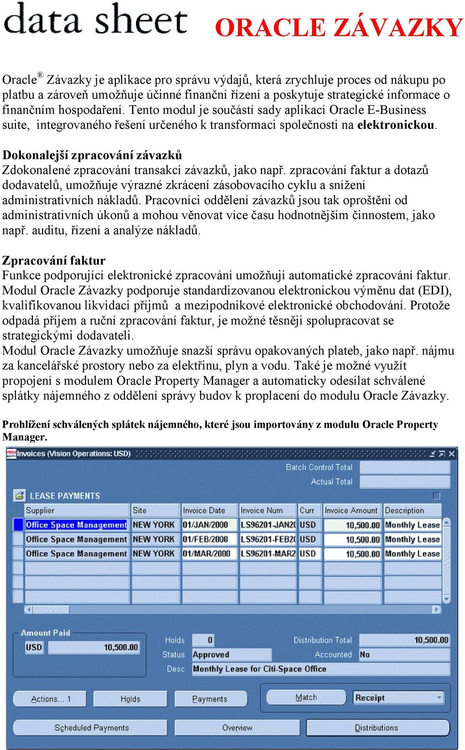 Dokonalejší zpracování závazků Zdokonalené zpracování transakcí závazků, jako např.