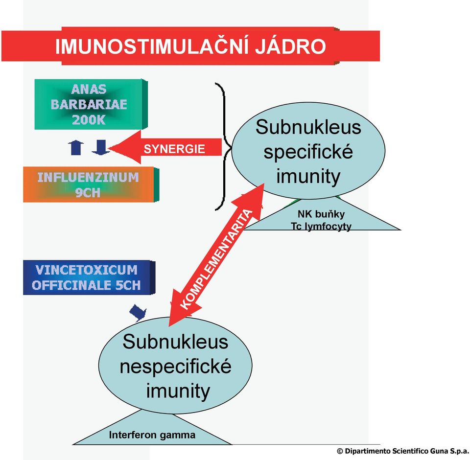 Subnukleus nespecifické imunity