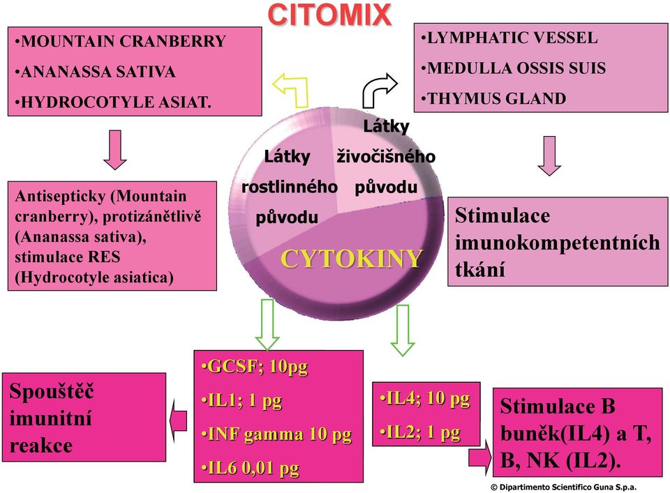 rostlinného původu Látky živočišného původu CYTOKINY LYMPHATIC VESSEL MEDULLA OSSIS SUIS THYMUS GLAND Stimulace