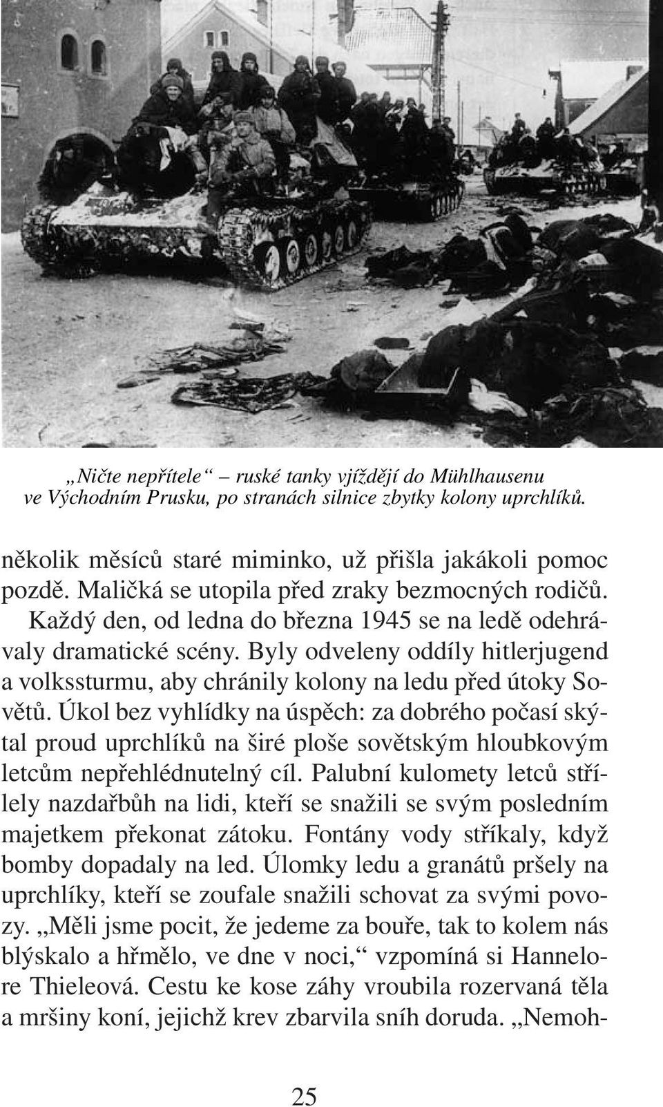 Byly odveleny oddíly hitlerjugend a volkssturmu, aby chránily kolony na ledu před útoky Sovětů.