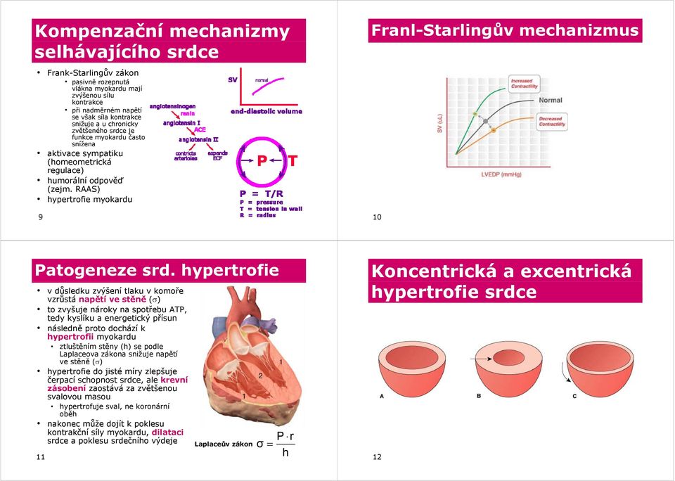 hypertrofie v důsledku zvýšení tlaku v komoře vzrůstá napětí ve stěně (σ) to zvyšuje nároky na spotřebu ATP, tedy kyslíku a energetický přísun následně proto dochází k hypertrofii myokardu ztluštěním