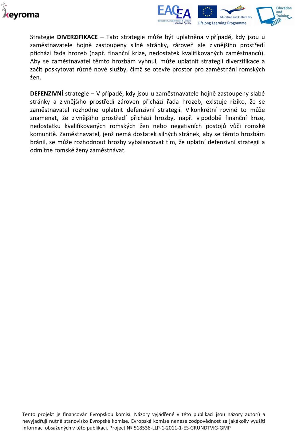 Aby se zaměstnavatel těmto hrozbám vyhnul, může uplatnit strategii diverzifikace a začít poskytovat různé nové služby, čímž se otevře prostor pro zaměstnání romských žen.