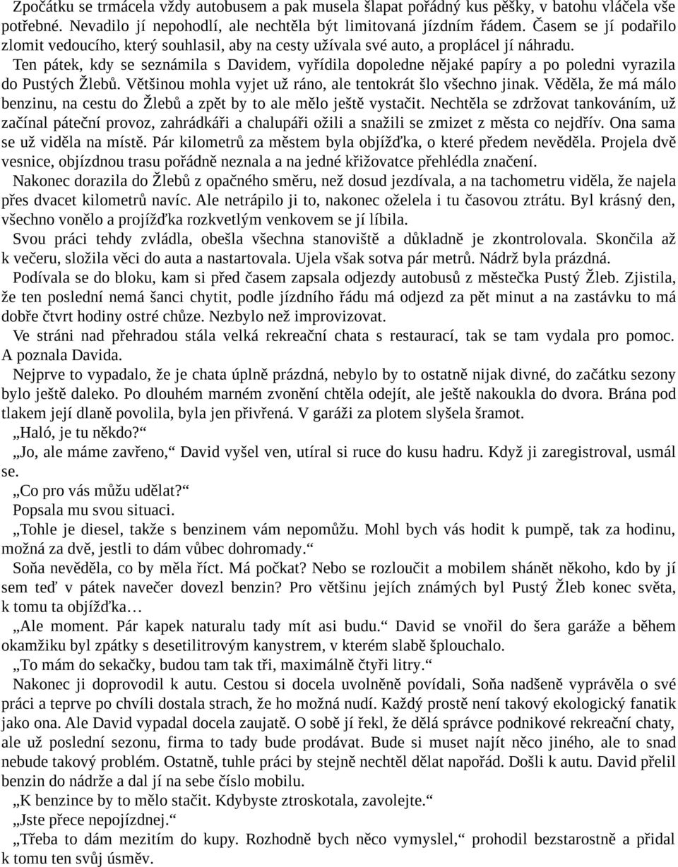 Ten pátek, kdy se seznámila s Davidem, vyřídila dopoledne nějaké papíry a po poledni vyrazila do Pustých Žlebů. Většinou mohla vyjet už ráno, ale tentokrát šlo všechno jinak.