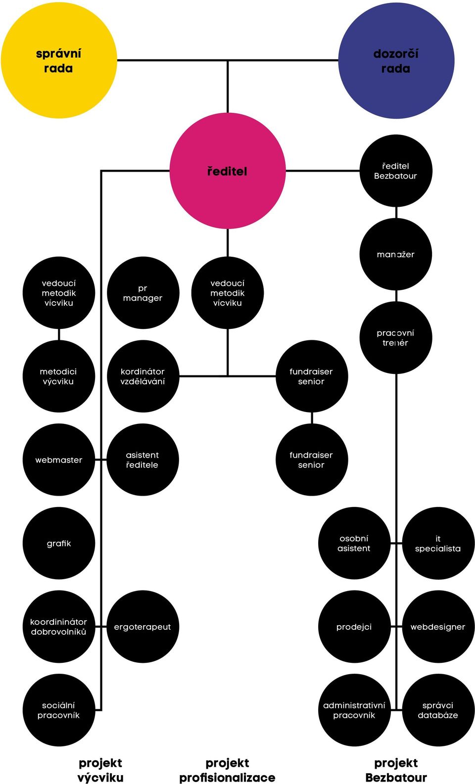 rada asistent ředitele webmaster grafik koordininátor dobrovolníků sociální pracovník ergoterapeut osobní asistent