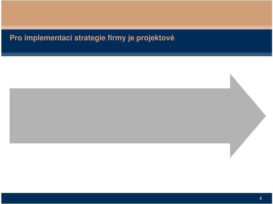 aktivita n Strategická vize Strategický plán/ koncepce Portfolio Program Projekt Projekt 1 Projekt n Dobrá volba nástrojů pro