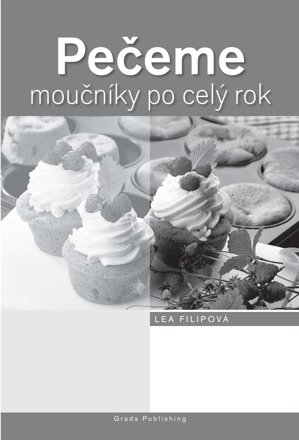 celý rok LEA