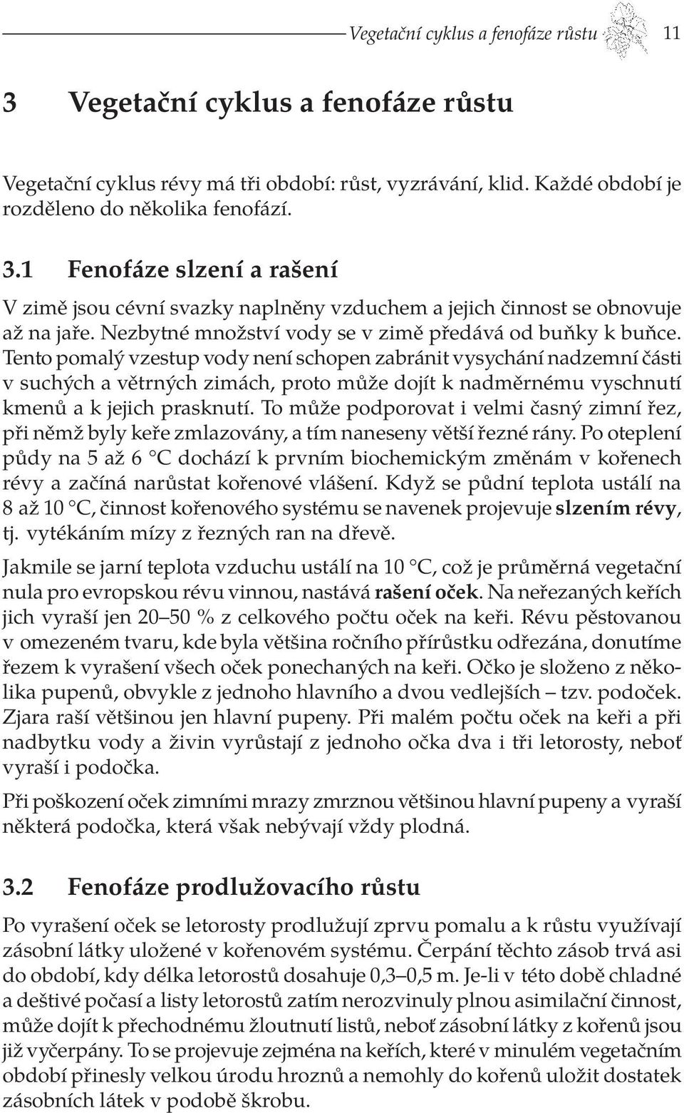 Tento pomalý vzestup vody není schopen zabránit vysychání nadzemní části v suchých a větrných zimách, proto může dojít k nadměrnému vyschnutí kmenů a k jejich prasknutí.