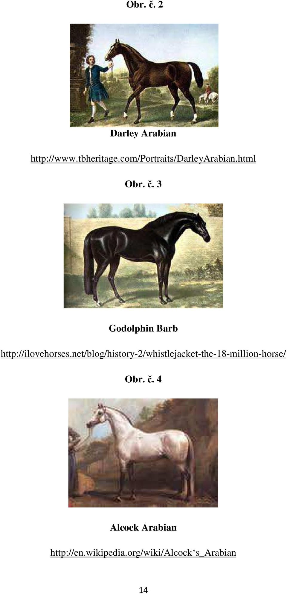 3 Godolphin Barb http://ilovehorses.