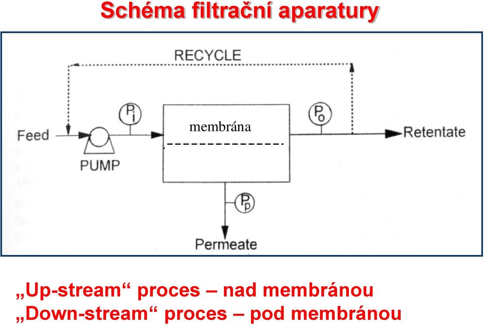 Up-stream proces nad