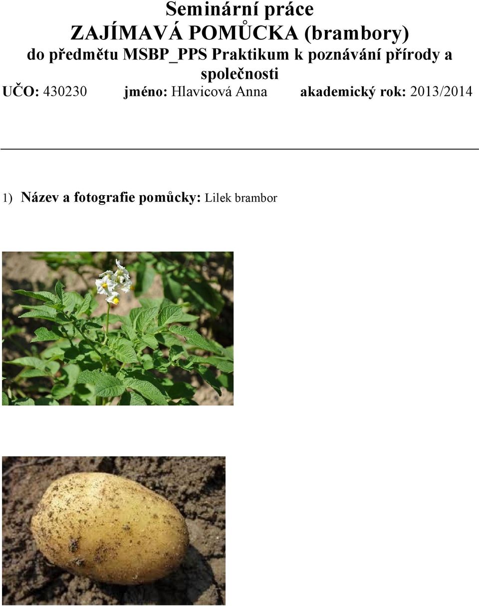 společnosti UČO: 430230 jméno: Hlavicová Anna