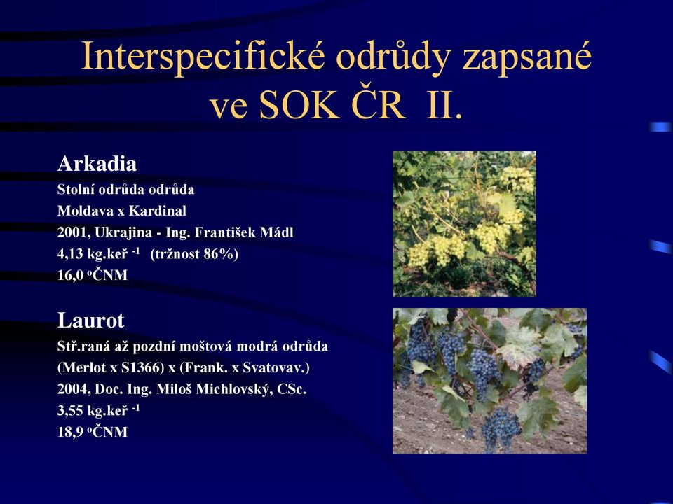 František Mádl 4,13 kg.keř -1 (trţnost 86%) 16,0 o ČNM Laurot Stř.