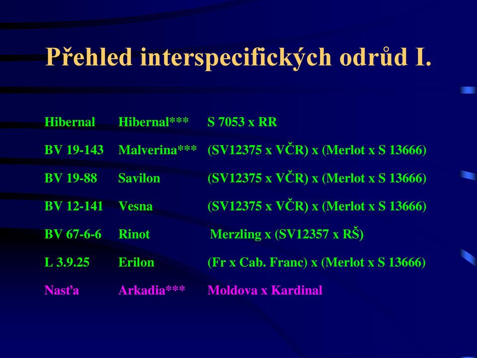 13666) BV 19-88 Savilon (SV12375 x VČR) x (Merlot x S 13666) BV 12-141 Vesna (SV12375 x