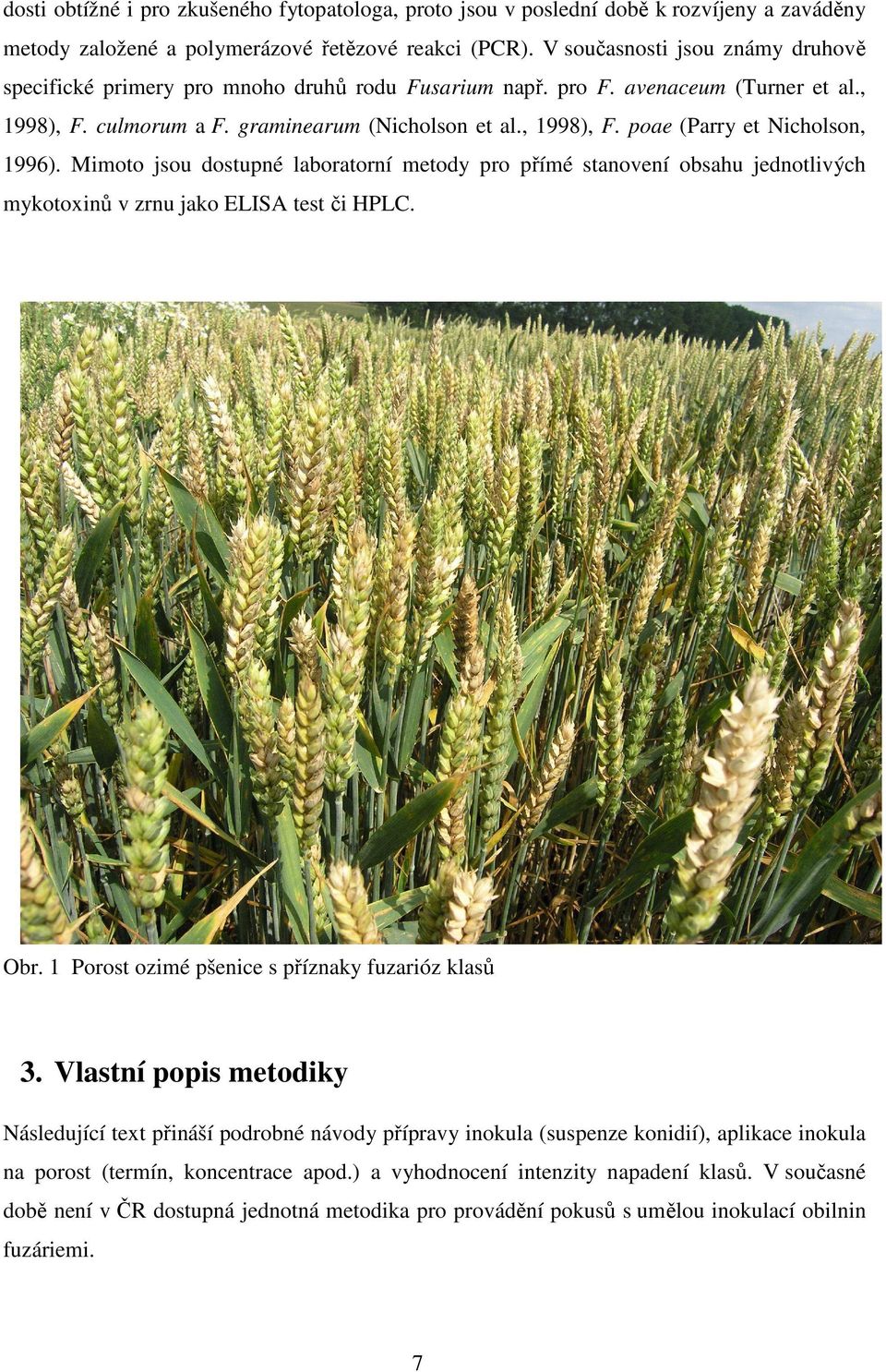 Mimoto jsou dostupné laboratorní metody pro přímé stanovení obsahu jednotlivých mykotoxinů v zrnu jako ELISA test či HPLC. Obr. 1 Porost ozimé pšenice s příznaky fuzarióz klasů 3.