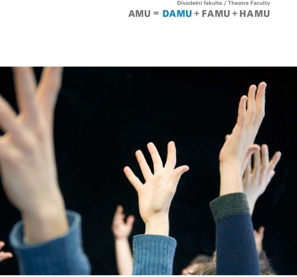 AMU = DAMU + FAMU