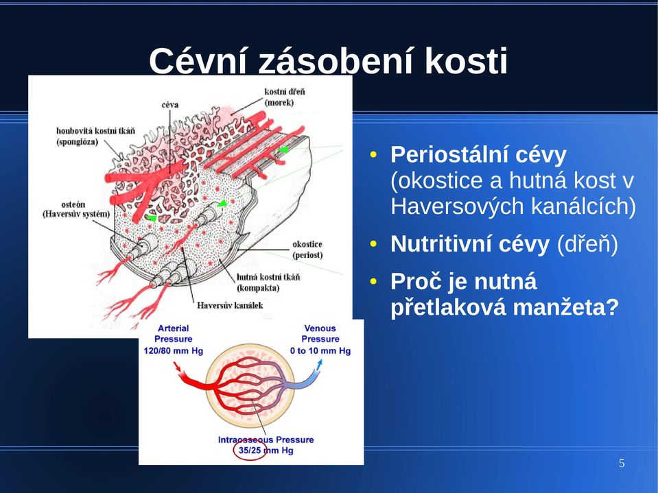 Haversových kanálcích) Nutritivní