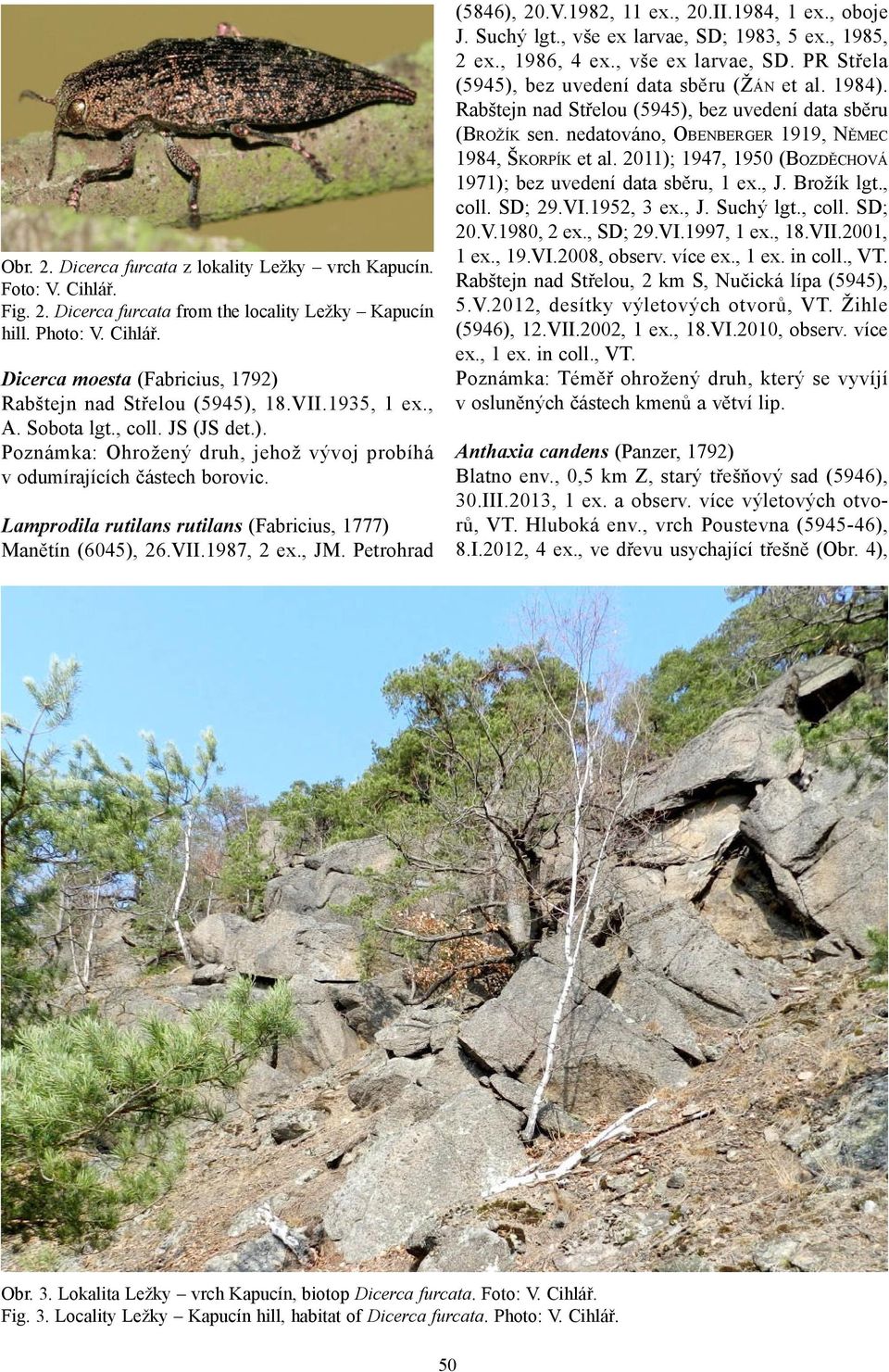 VII.1987, 2 ex., JM. Petrohrad (5846), 20.V.1982, 11 ex., 20.II.1984, 1 ex., oboje J. Suchý lgt., vše ex larvae, SD; 1983, 5 ex., 1985, 2 ex., 1986, 4 ex., vše ex larvae, SD. PR Střela (5945), bez uvedení data sběru (ŽÁN et al.