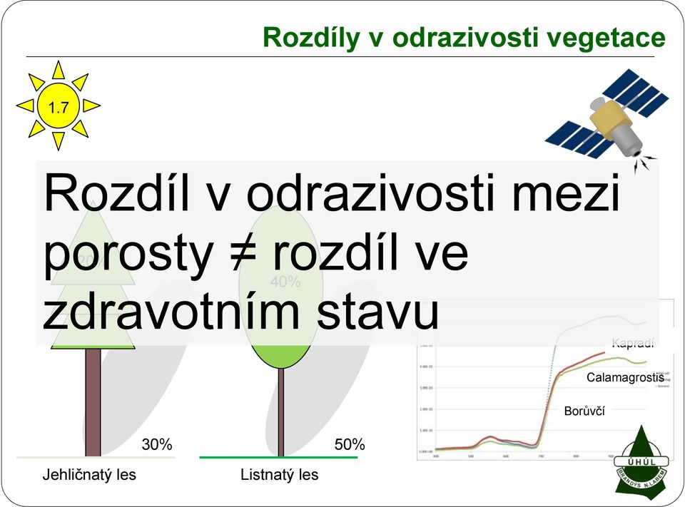 ve 20% 40% zdravotním stavu Kapradí