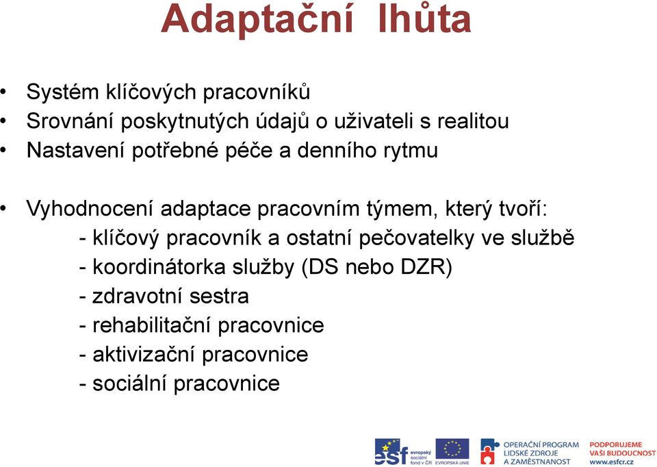 který tvoří: - klíčový pracovník a ostatní pečovatelky ve službě - koordinátorka služby (DS