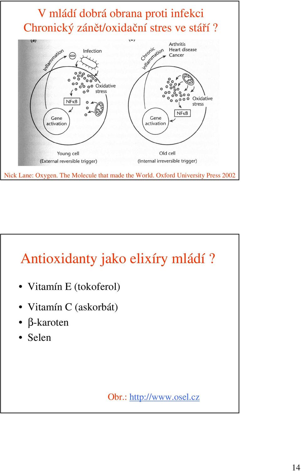 Oxford University Press 2002 Antioxidanty jako elixíry mládí?