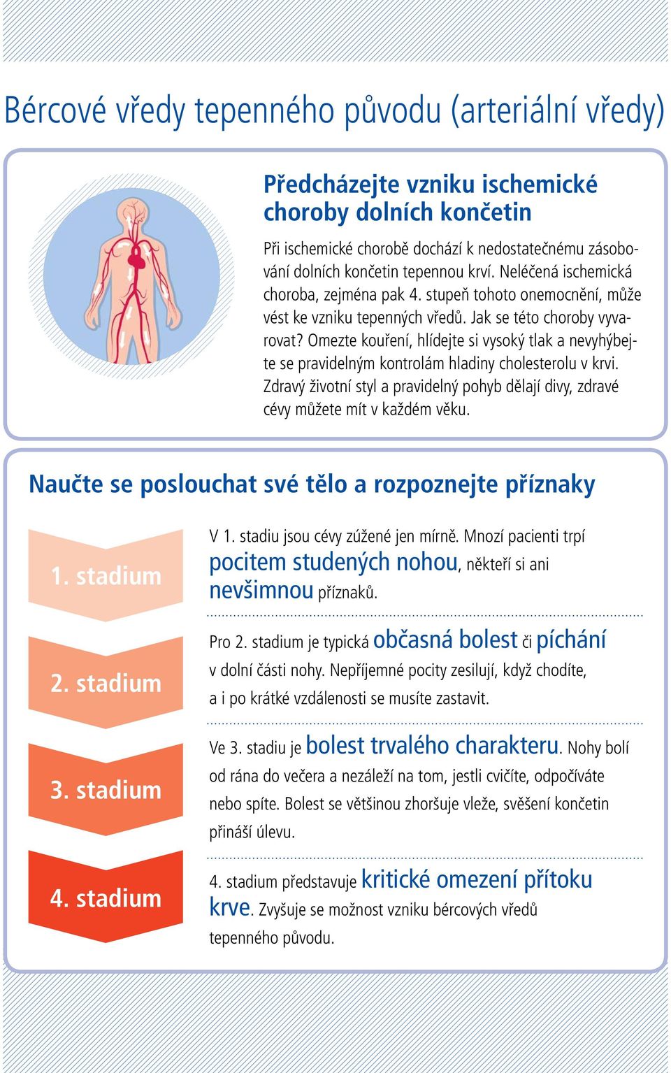 Omezte kouření, hlídejte si vysoký tlak a nevyhýbejte se pravidelným kontrolám hladiny cholesterolu v krvi. Zdravý životní styl a pravidelný pohyb dělají divy, zdravé cévy můžete mít v každém věku.